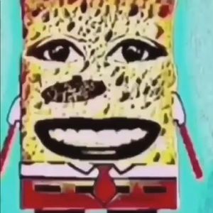 Meet your Posher, Gavin